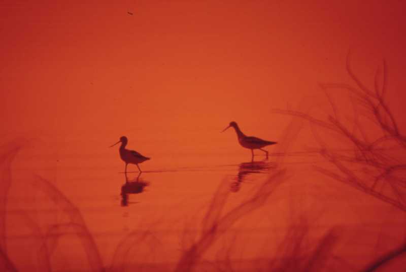 Astrological Forecast for&nbsp;2025